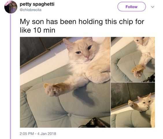 Funny-Chip-Csat Funny Chip Csat