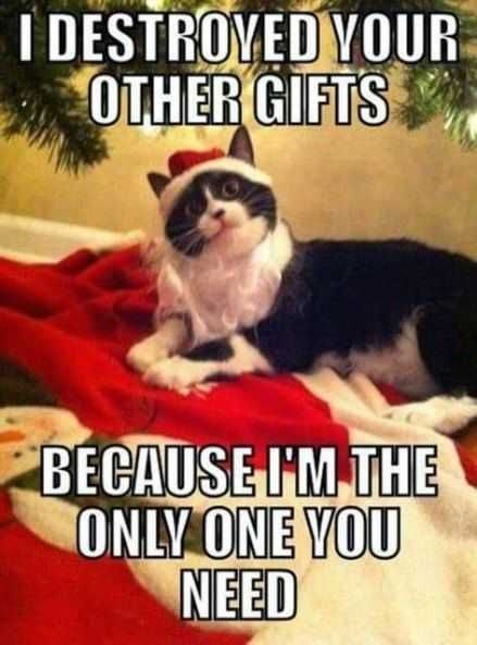 Funny-Destroy-Gift Funny Destroy Gift