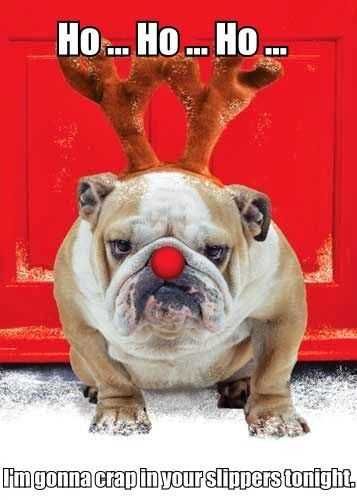 Funny-Dog-Antlers Funny Dog Antlers