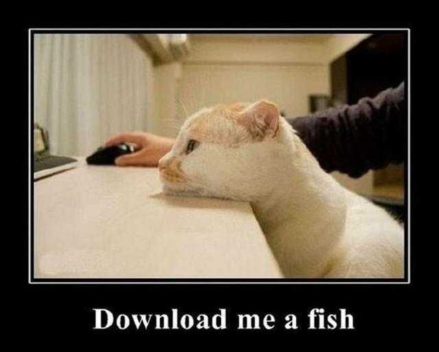 Funny-Download-Fish Funny Download Fish