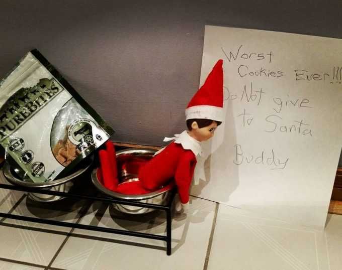 Funny-Elf-Dog-Bites Clever Elf On The Shelf Ideas Worst Cookies Dog Cookies For Santa