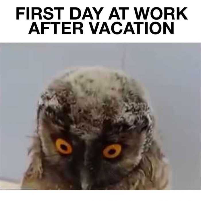 Funny-First-Day-Work-Vacationm Funny First Day Work Vacationm