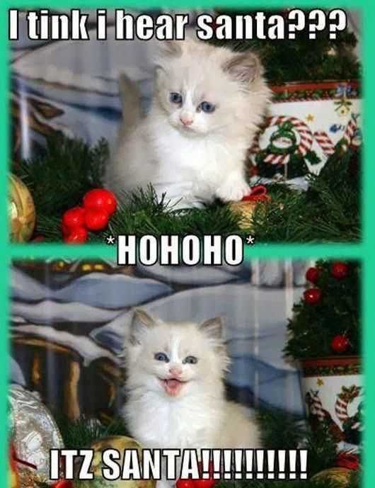 Funny-Hear-Santa Funny Hear Santa