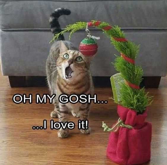 Funny-Iloveit Funny Iloveit