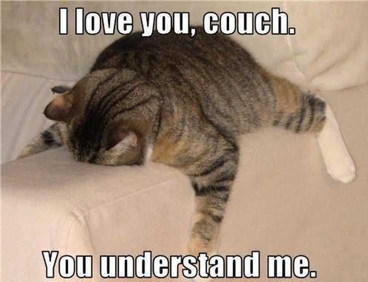 Funny-Lazy-Couch Funny Lazy Couch