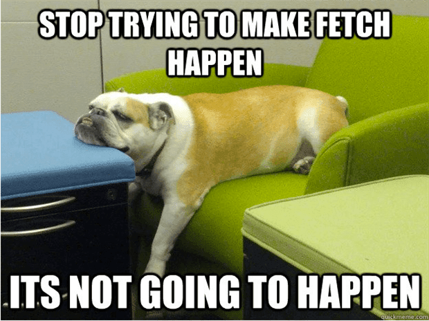 Funny-Lazy-Dog-Couch Funny Lazy Dog Couch