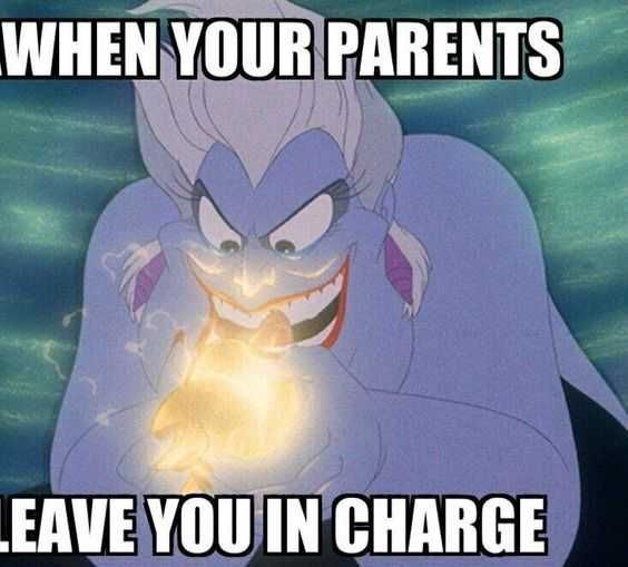 Funny-Leave-You-In-Charge Funny Leave You In Charge