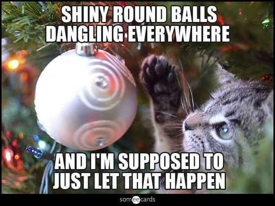 Funny-Let-That-Happen Funny Let That Happen