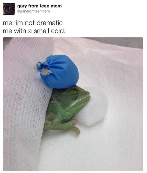 Funny-Me-Small-Cold Funny Me Small Cold