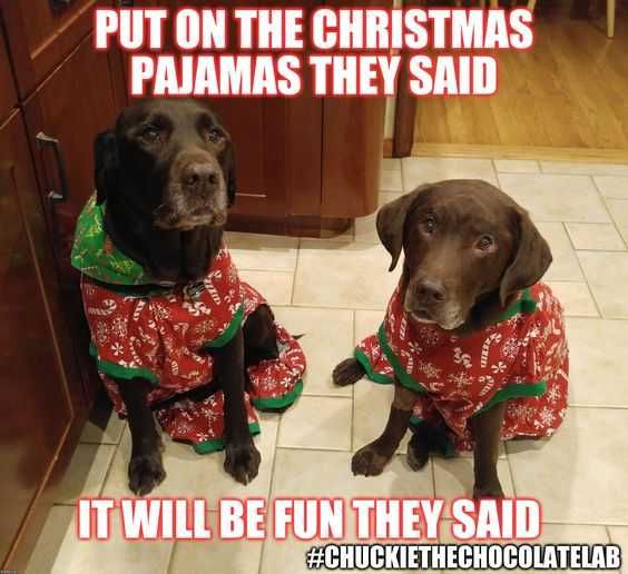 Funny-Pjs Funny Pjs