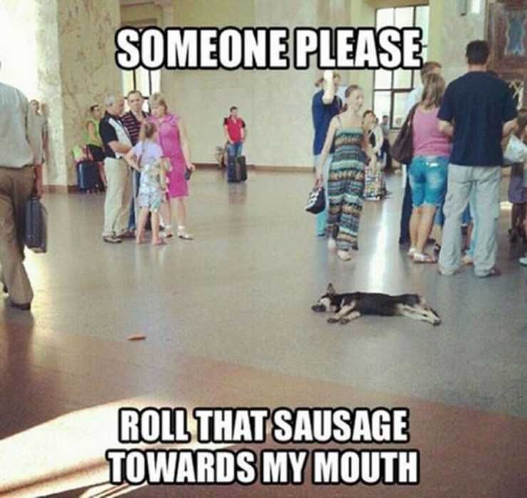 Funny-Roll-Sausage Funny Roll Sausage