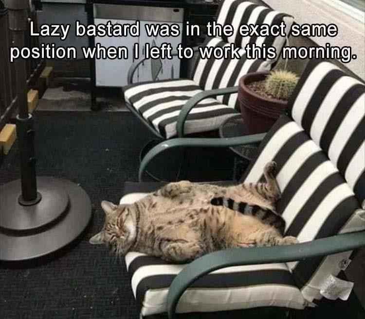 Funny-Same-Position Funny Same Position
