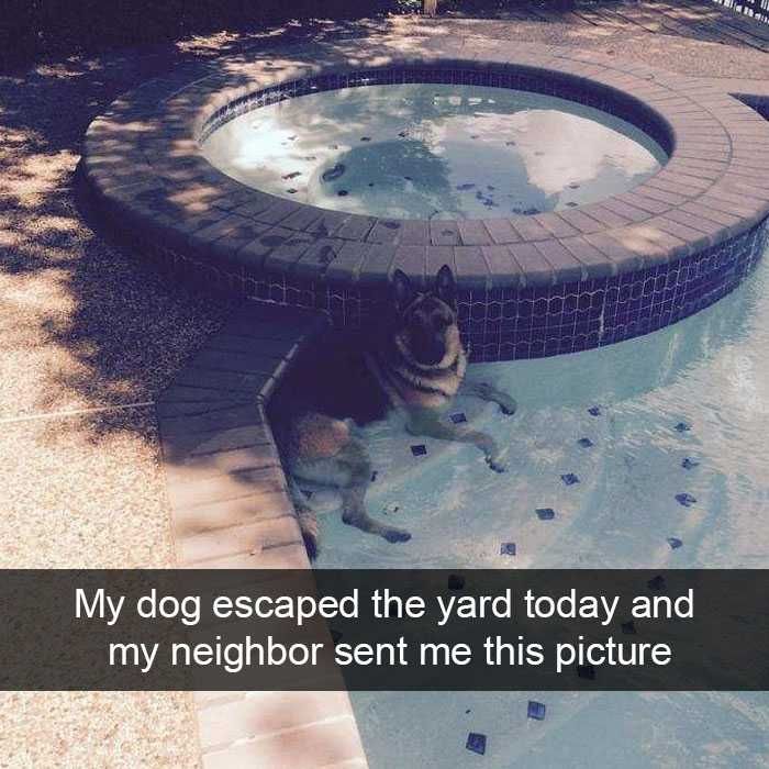 Funny-Sent-Picture Funny Sent Picture