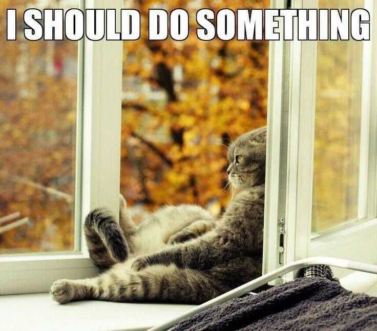 Funny-Should-Do-Something Funny Should Do Something