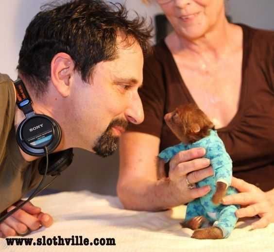 Funny-Sloth-Tiny Funny Sloth Tiny