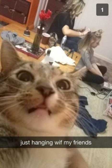Funny-Snapchat-Hanging Funny Snapchat Hanging
