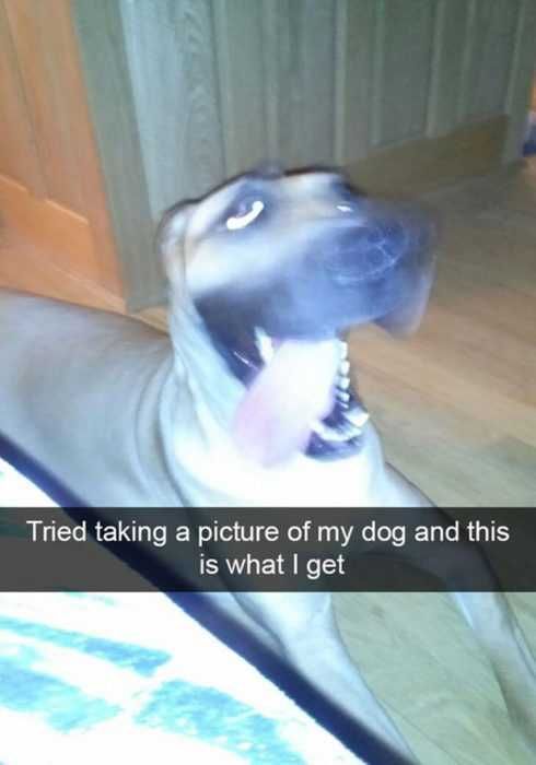 Funny-Snapchat-Trying Funny Snapchat Trying
