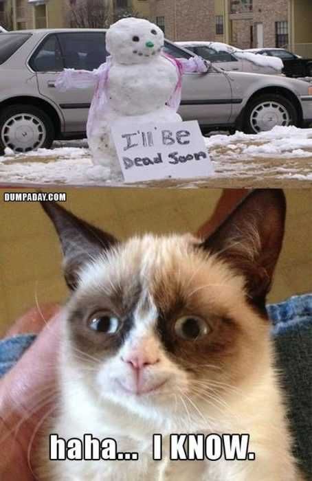 Funny-Snowman Funny Snowman