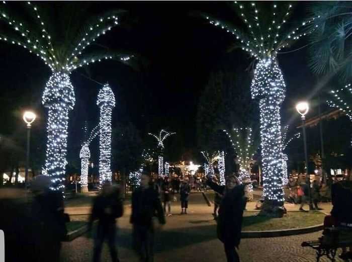 Funny-Tree-Lights Funny Tree Lights
