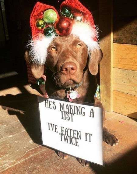 Funny-Twice-List Funny Twice List