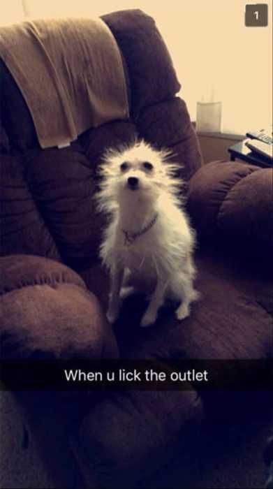 Funny-When-Lick-Outlet Funny When Lick Outlet