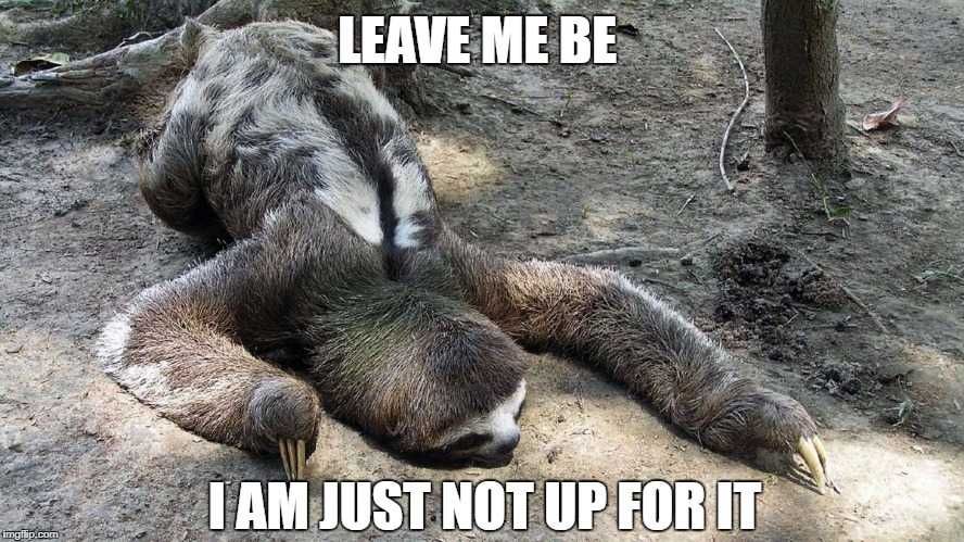 Lazy-Not-Up-For-It Lazy Not Up For It
