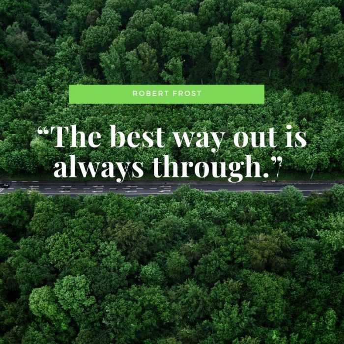 Quote-Is-Always-Through Quote Is Always Through
