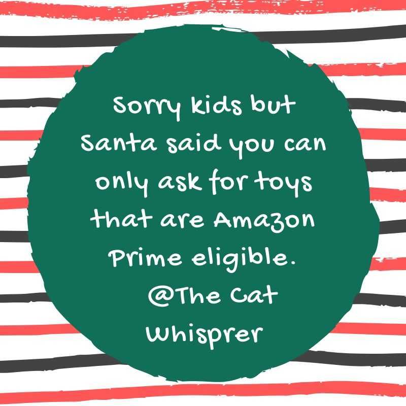 Quote-Only-Ask-For-Toys Quote Only Ask For Toys 1