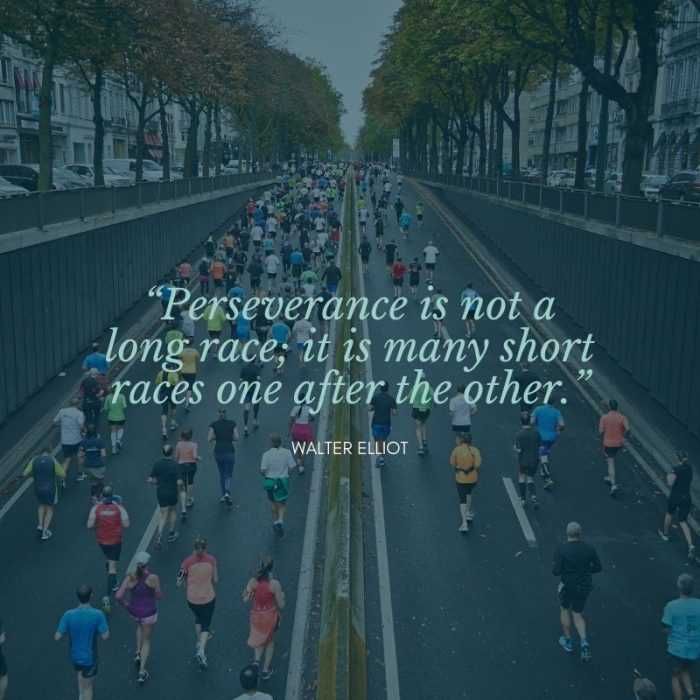 Quote-Perseverance Quote Perseverance