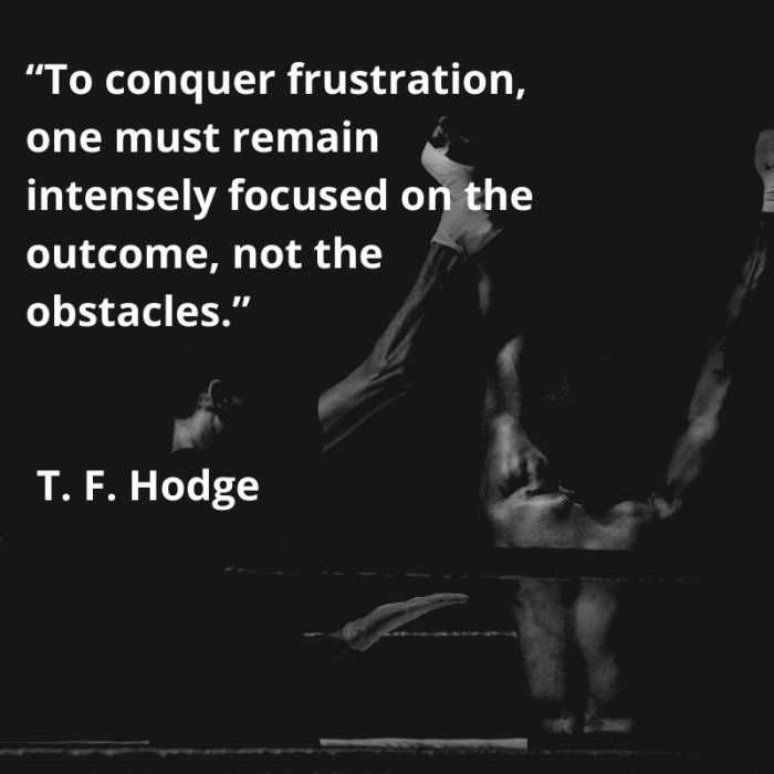 Quote-To-Counter-Frustration Quote To Counter Frustration