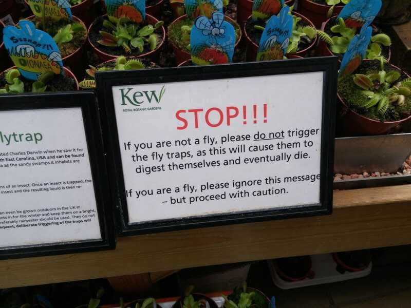 Sign-Flytrap Sign Flytrap
