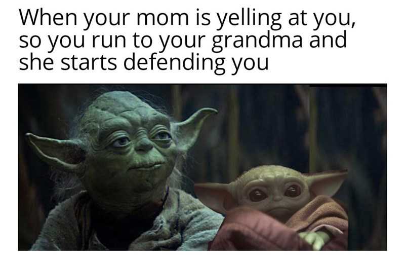 Yoda-Mom-Defending-1 Yoda Mom Defending 1