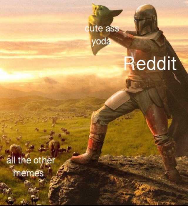 Yoda-Reddit-Hail Yoda Reddit Hail