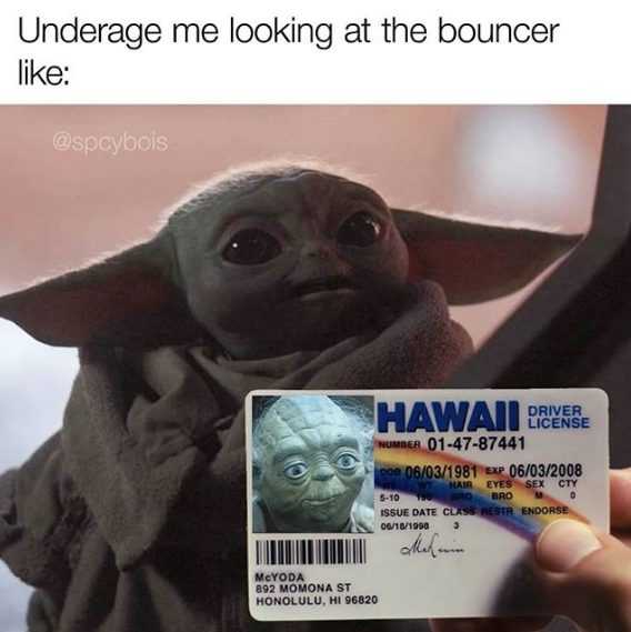 Yoda-Underage-Bouncer Yoda Underage Bouncer