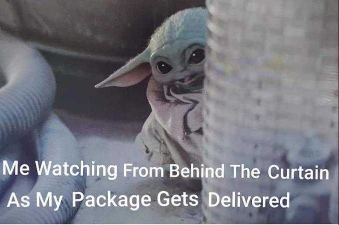 Yoda-Watching-Delivered Yoda Watching Delivered
