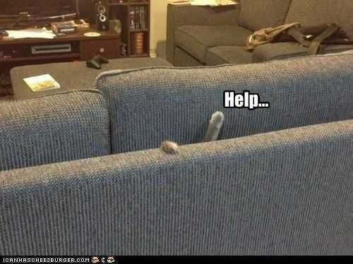 Cat-Lol-Couch Cat Lol Couch