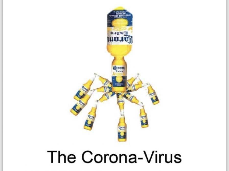 Corona Beer Virus Visualized Using Corona Beer Bottles