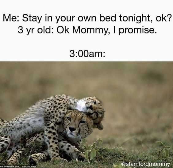 Funny-3-Am Funny 3 Am