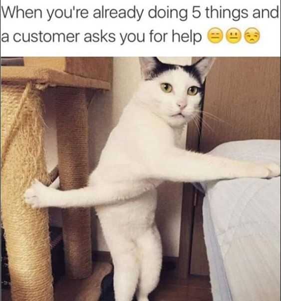 Funny 5 Things
