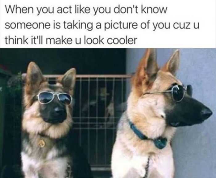 Funny-Act-Like-Taking Funny Act Like Taking
