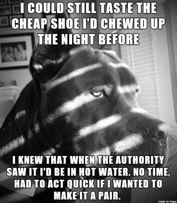 Funny-Act-Quickly Funny Act Quickly