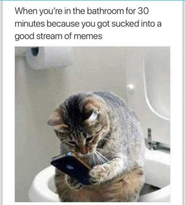 Funny-Bathroom-30-Minutes Funny Cat Pictures Cat On Phone Meme