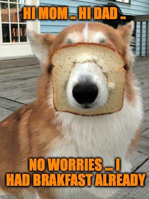 Funny-Breakfast Funny Breakfast