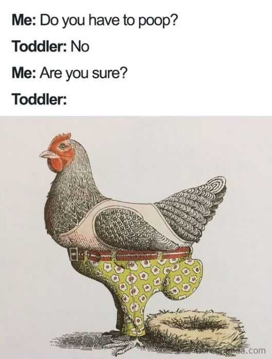 Funny-Do-You-Have Funny Do You Have