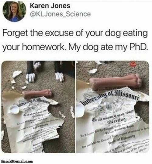 Funny-Eat-Phd Funny Eat Phd