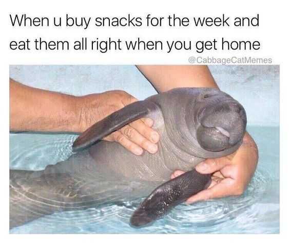 Funny-Eat-Them-All Funny Eat Them All