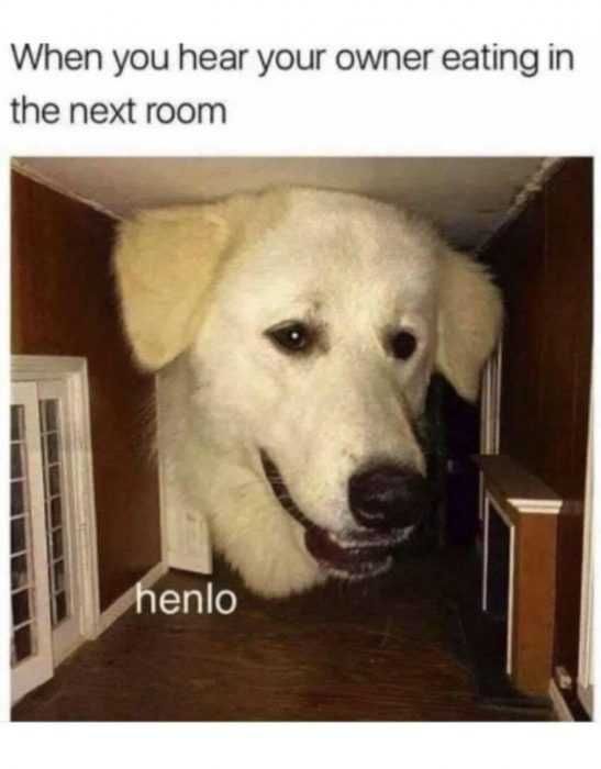 Funny-Eating-Next-Room Funny Eating Next Room