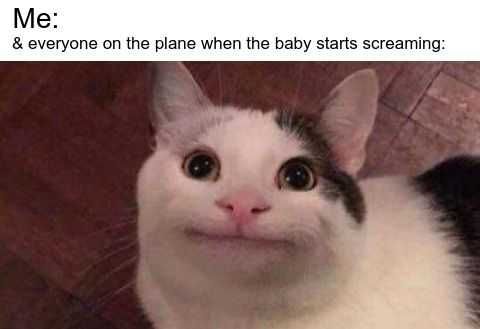 Funny-Everyone-Baby Funny Cat Pictures Polite Smile Cat