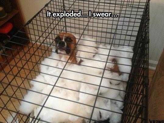 Funny-Exploded-Swear Funny Exploded Swear