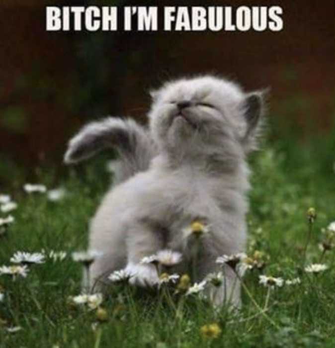 Funny-Fabu Funny Fabu
